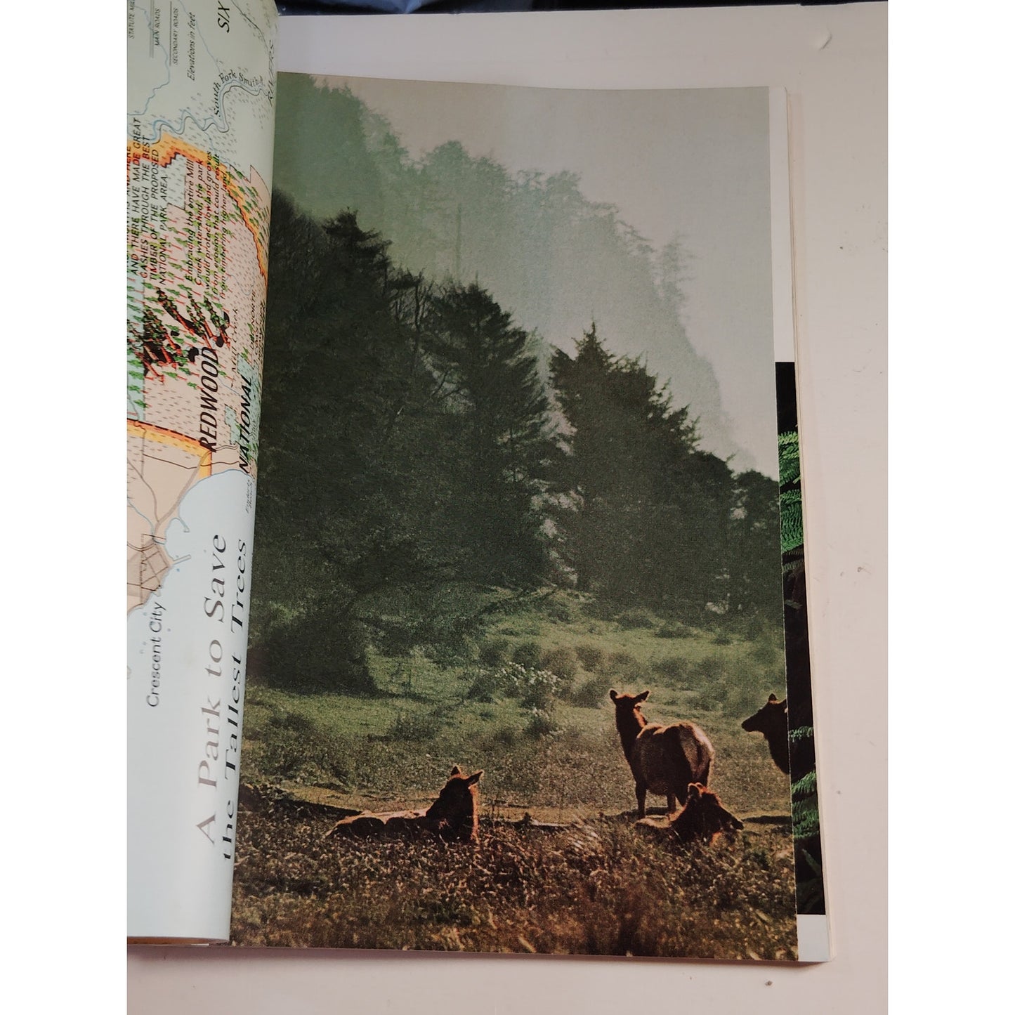 National Geographic Magazine July 1966, National Parks, Gibraltar & Hummingbirds