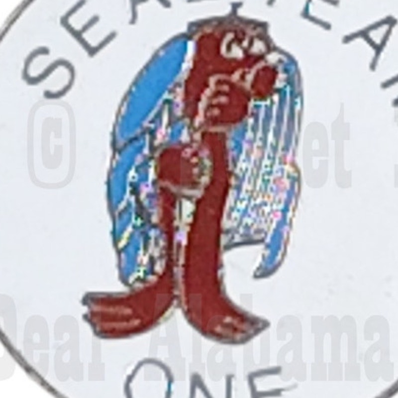 Seal Team One Hat, Lapel, Vest or Brooch Novelty Collectors Pin 1"D