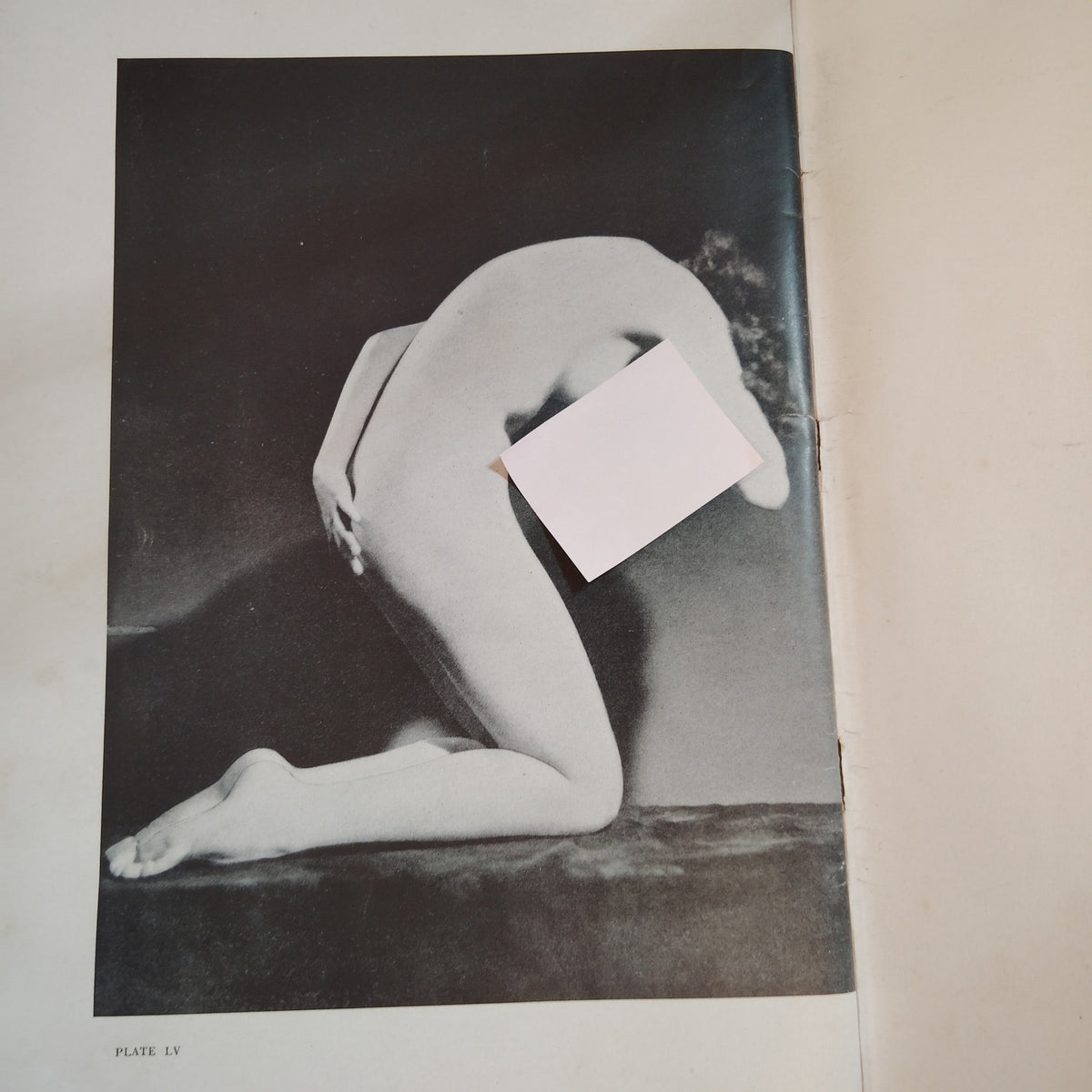 Au Naturel: Art of the Camera 1940 2nd Edition Vintage Nude Photography Book