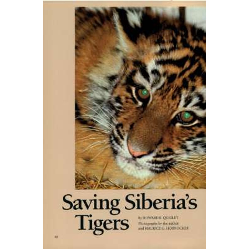 National Geographic July 1993 - Zoo's Taking Down the Bars, Cyprus Reckoning, Lightning, California's North Face, Saving Siberia's Tigers...