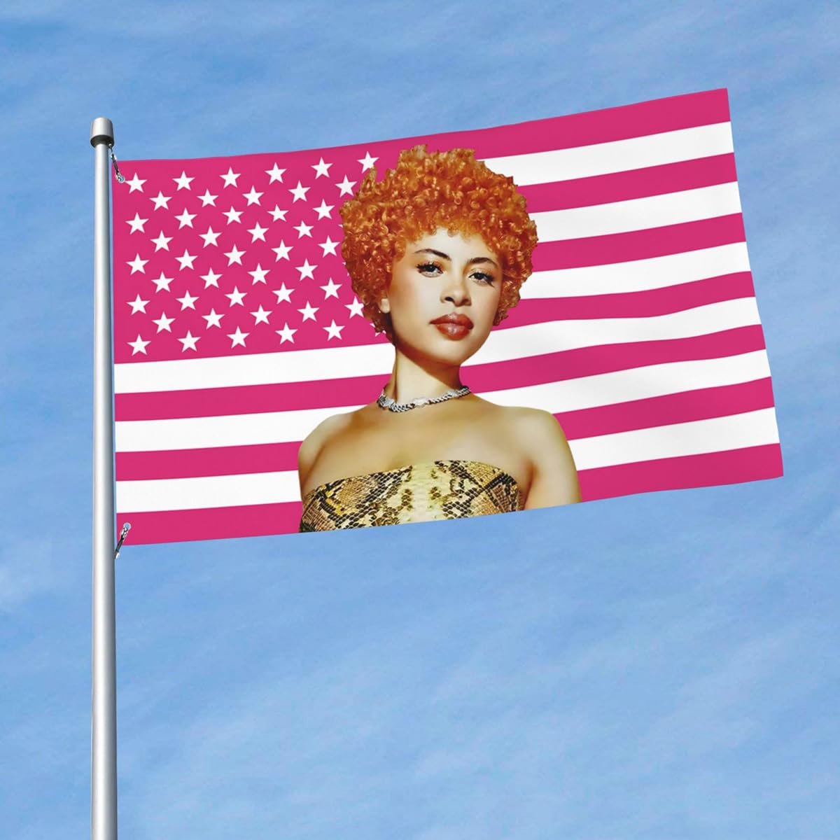 Ice Spice 3x5ft Pink American Tapestry Flag – 2 Brass Grommets, Outdoor or Room & Dorm Wall Tapestry