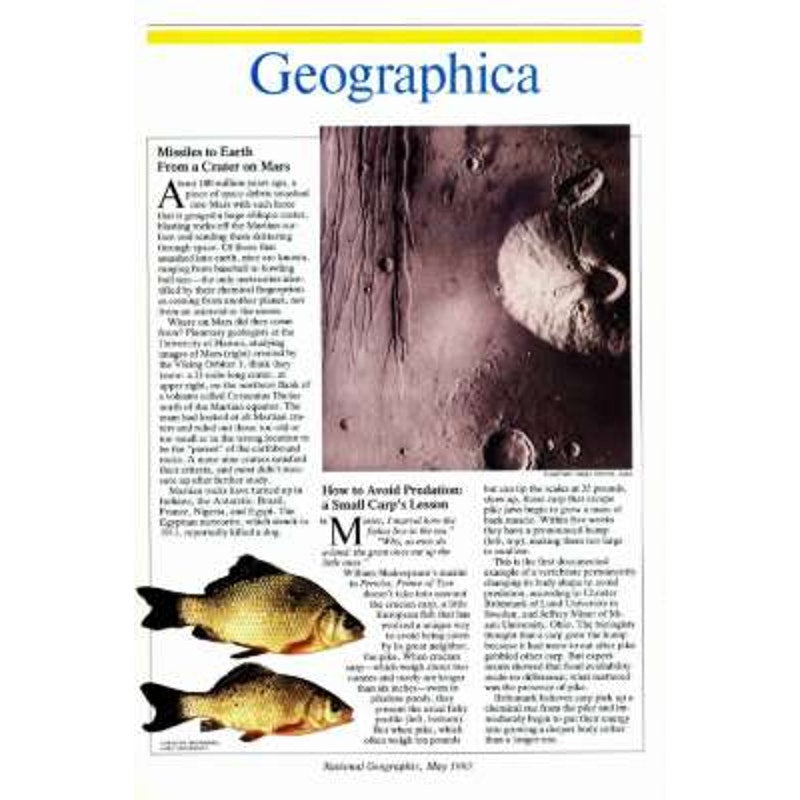 National Geographic Magazine May 1993 Middle East, Central Park, Mongolia Europe