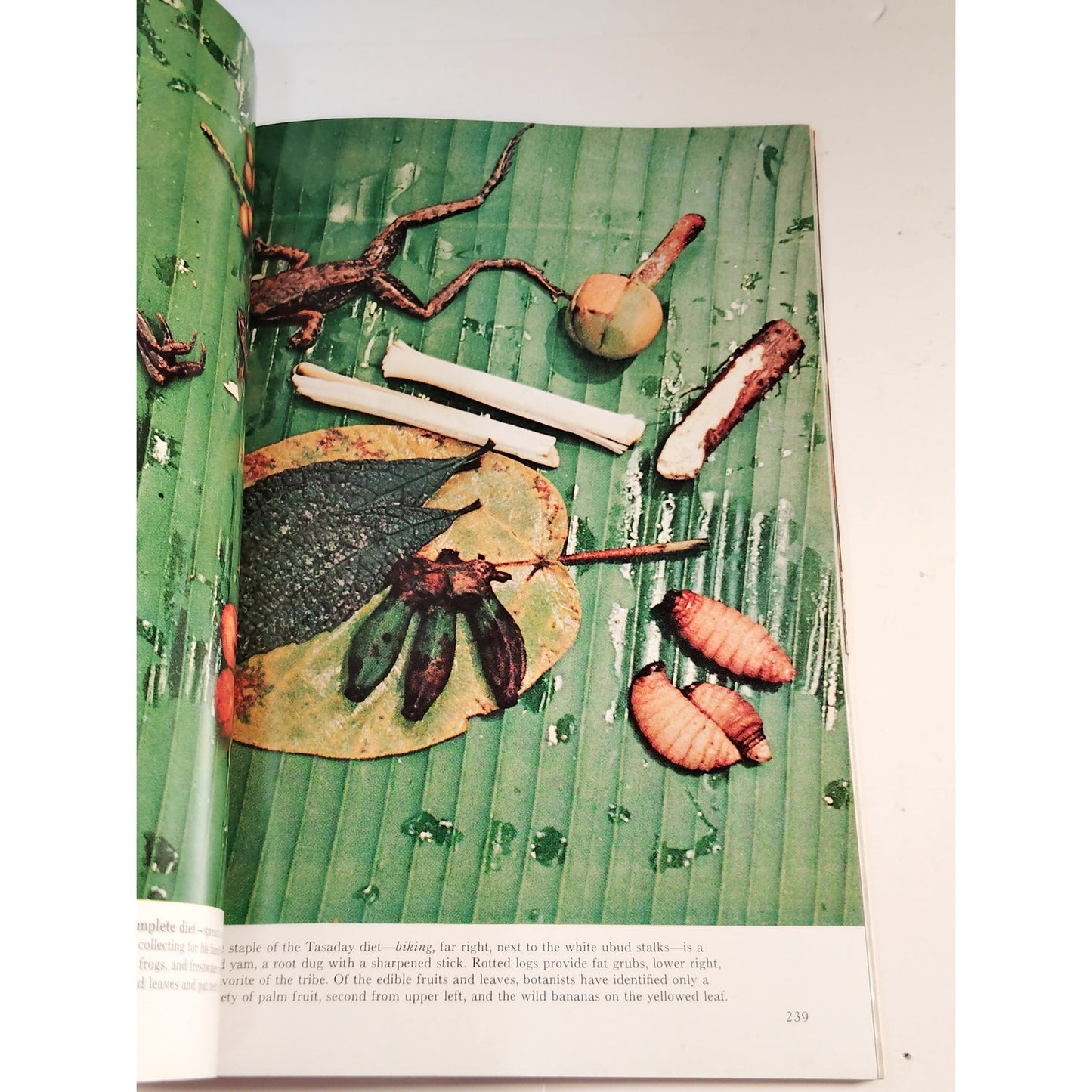 National Geographic Magazine – August 1972, Amazon, Ancient Art, Wildlife