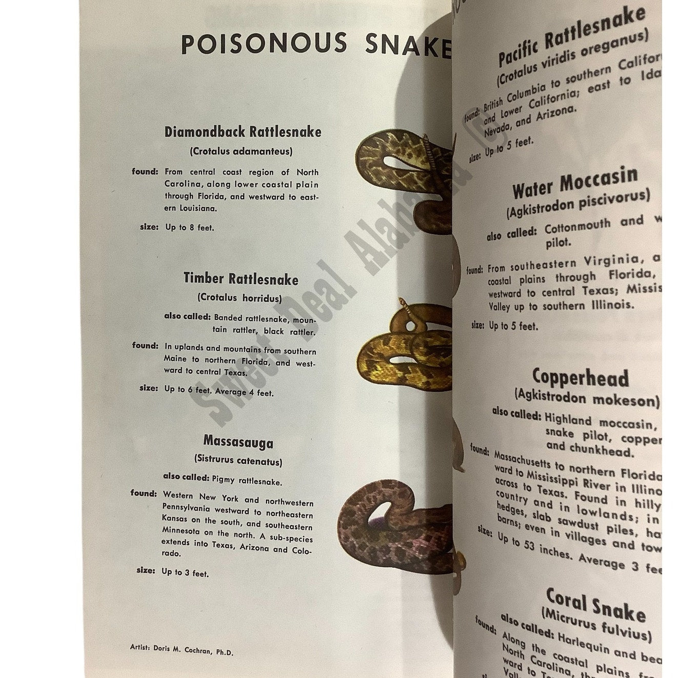 1957 The American National Red Cross, First Aid Book, 4th Edition, No.57-12315