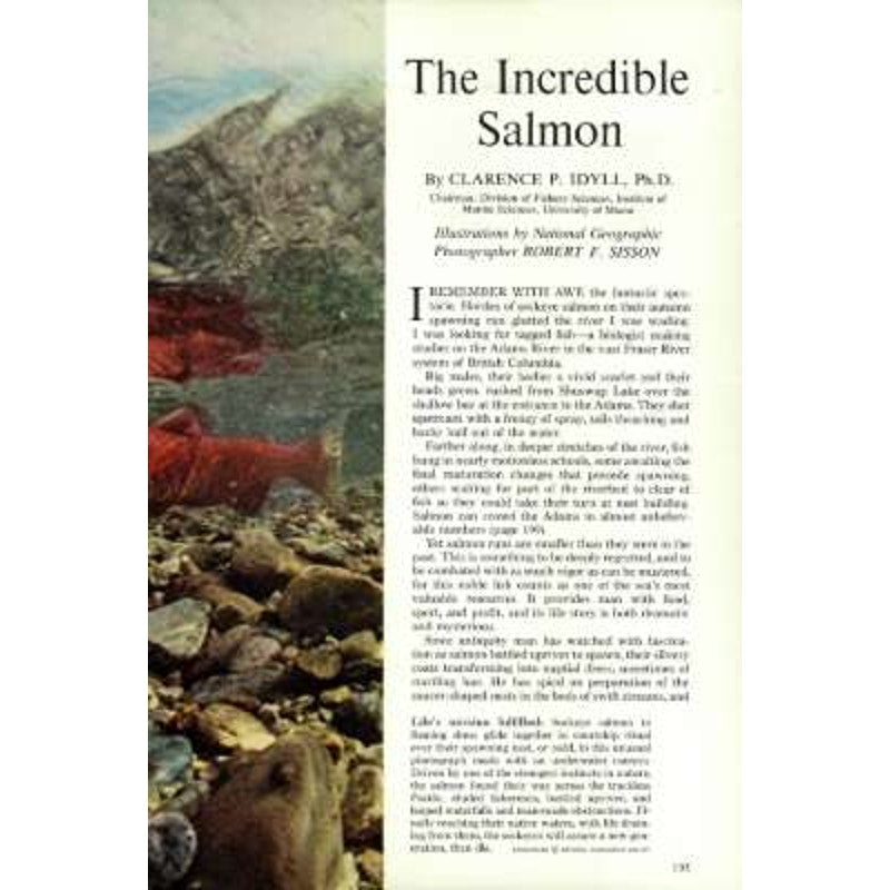National Geographic August 1968 - Mexico City, Ancient Basques, Seaport Connecticut, Salmon, Magical Servants of the Space Age...