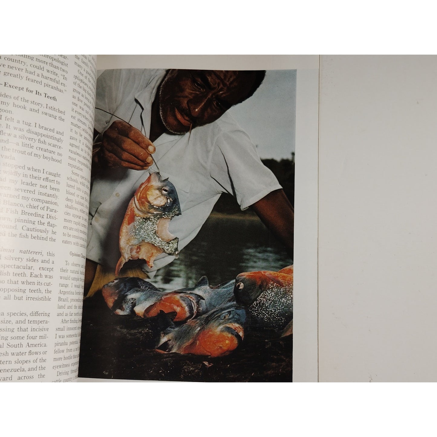 National Geographic – November 1970, Ozark Hills, Computer Revolution, Piranha