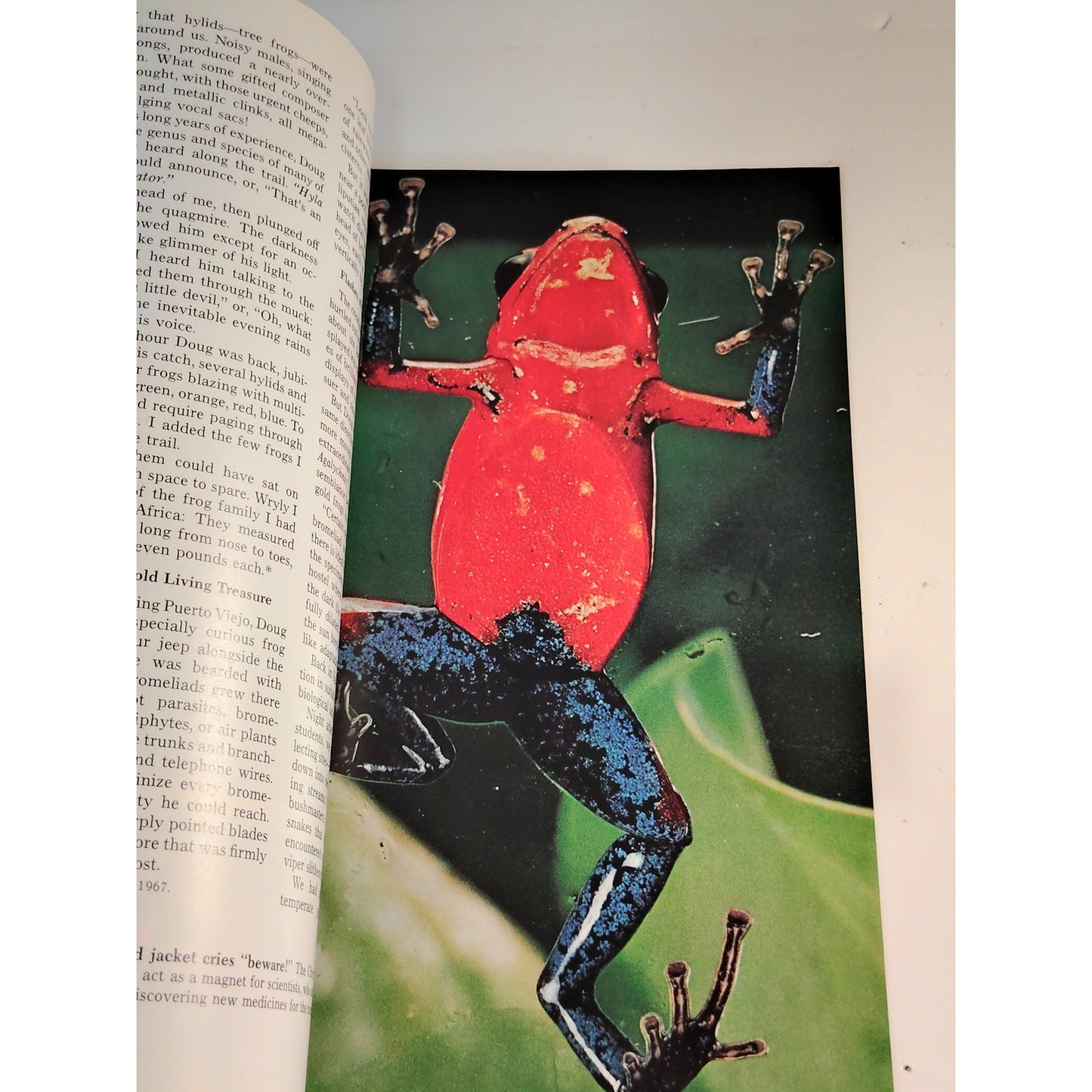 National Geographic Magazine – July 1973, Bangkok, Iceland, Costa Rica, Miami