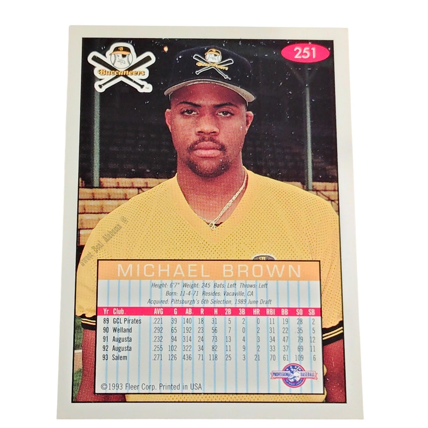 Michael Brown, Salem Buccaneers, No. 251, 93-94 Fleer Excel Minor Leagues