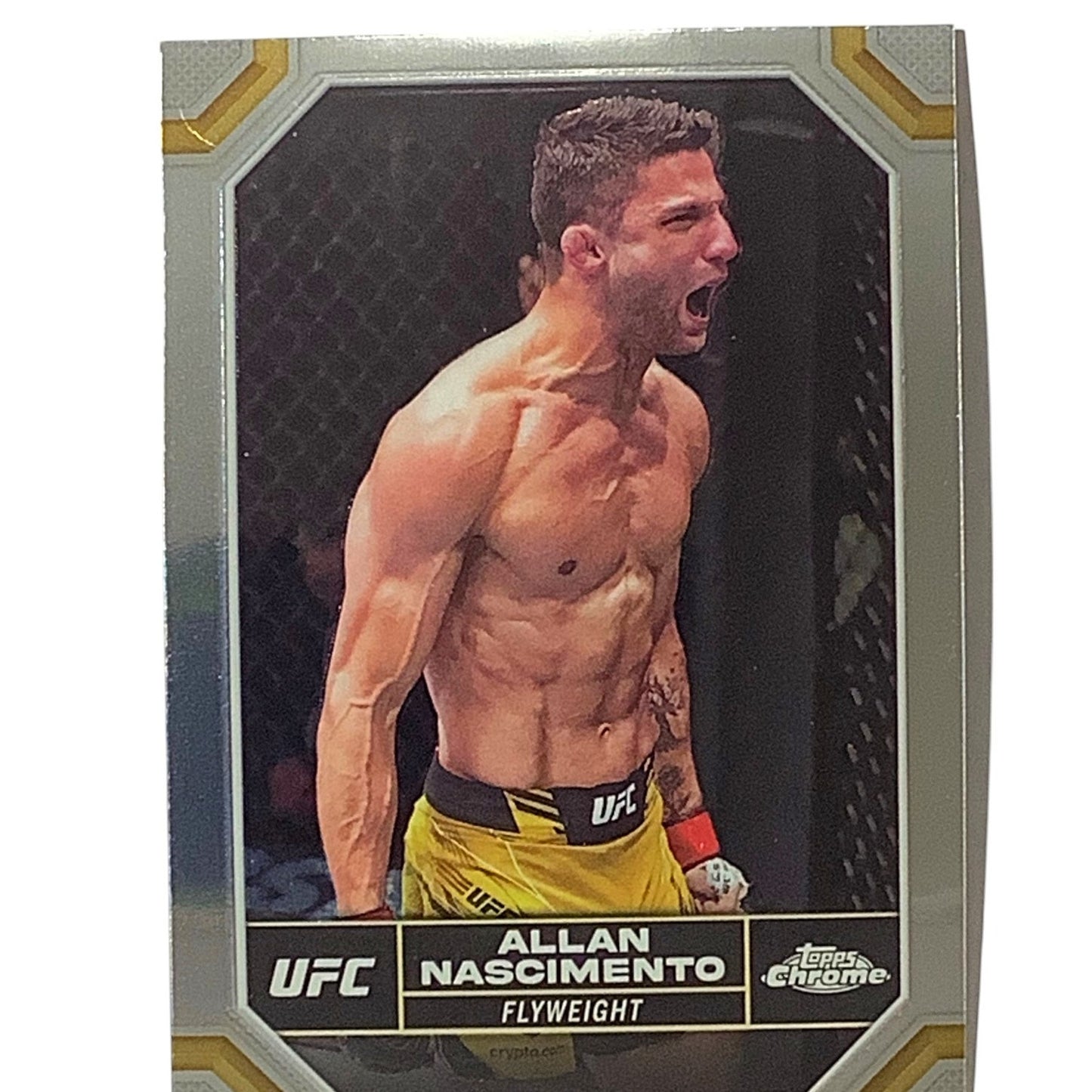 Allan Nascimento, Flyweight, UFC Card 13, 2024 Topps Chrome UFC, NM+