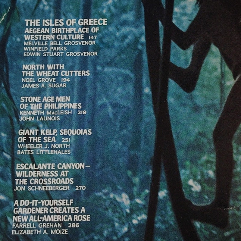 National Geographic Magazine – August 1972, Amazon, Ancient Art, Wildlife