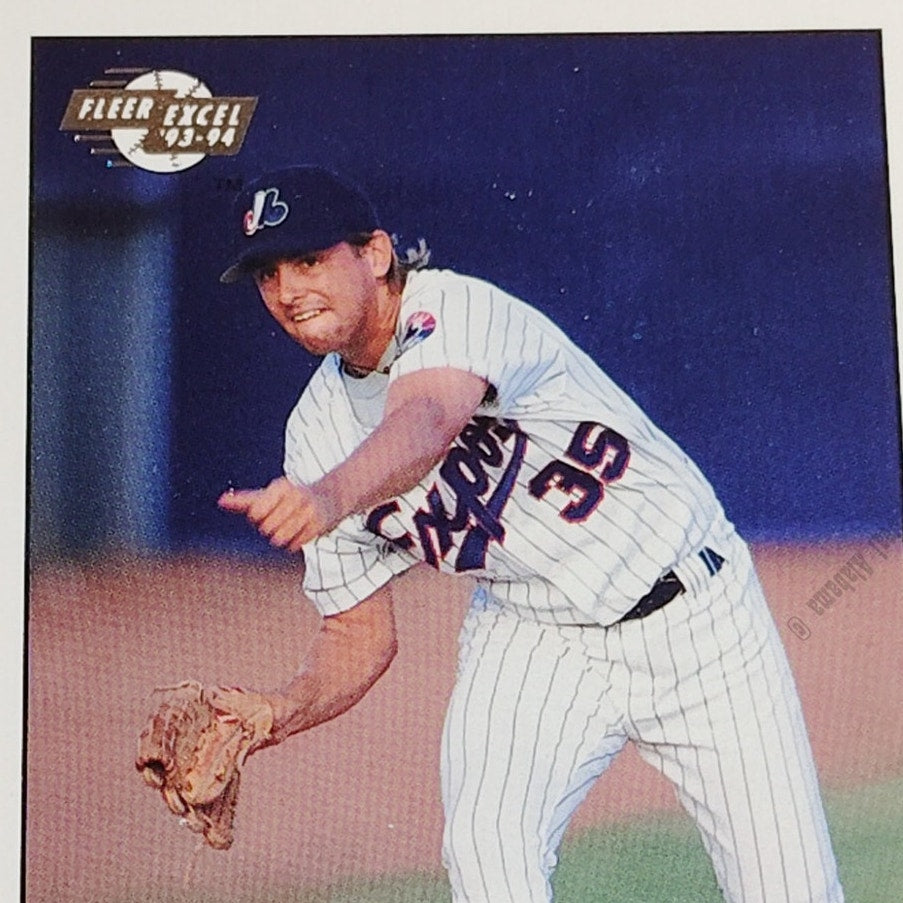 B.J. Wallace, West Palm Beach Expos , No. 230, 93-94 Fleer Excel Minor Leagues