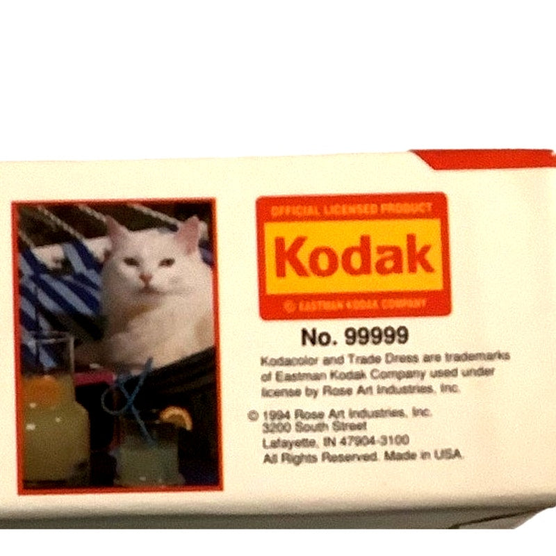 1994 Rose Art, Eastman Kodak 550 PC Jigsaw Puzzle, Catnap in Hammock, No. 99999