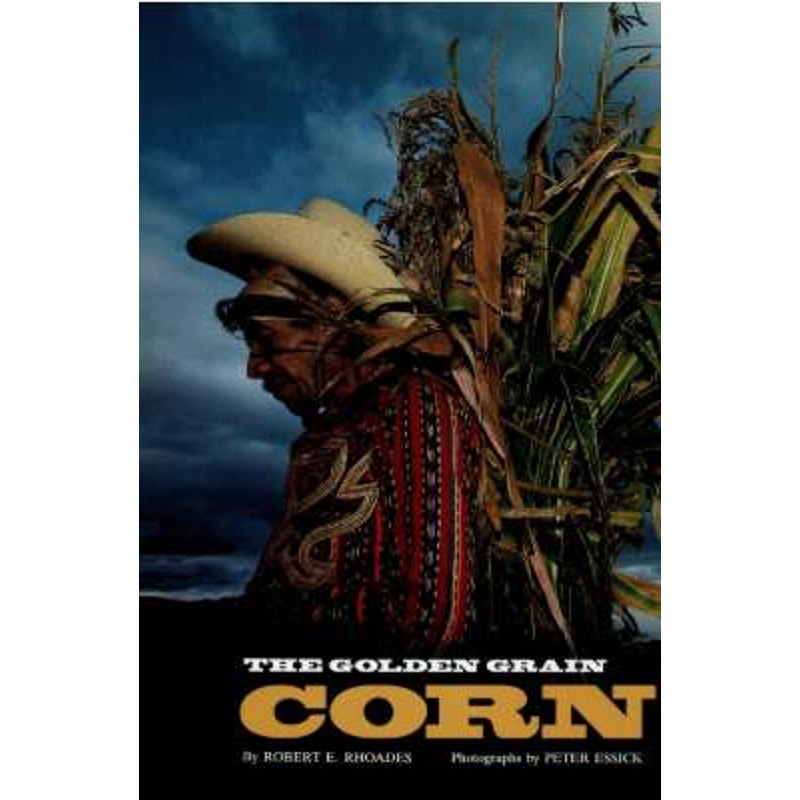 National Geographic June 1993 -Chesapeake Bay, Silence of the Songbirds, The Iceman, Bangladesh: When Water Comes, Corn: The Golden Grain...