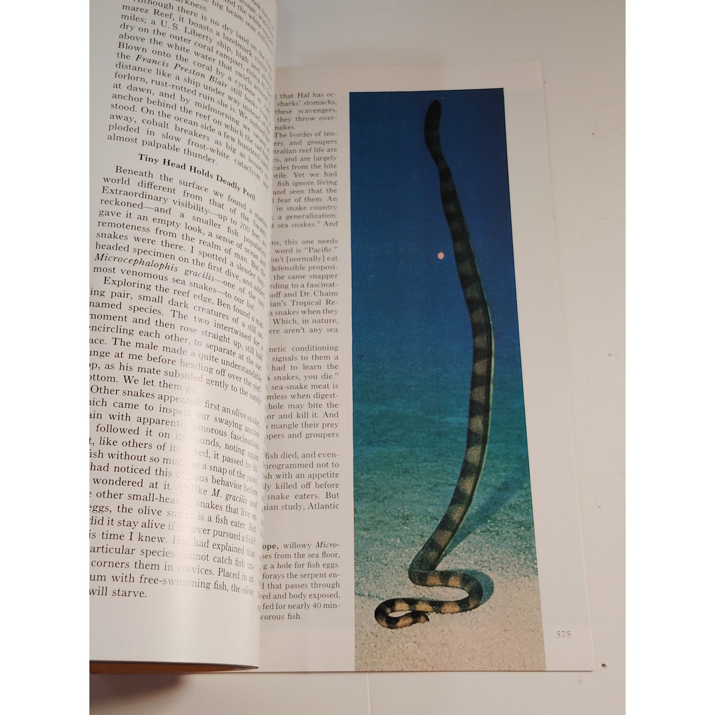 National Geographic Magazine – April 1972, Afghanistan, Wild Burros, Sea Snakes