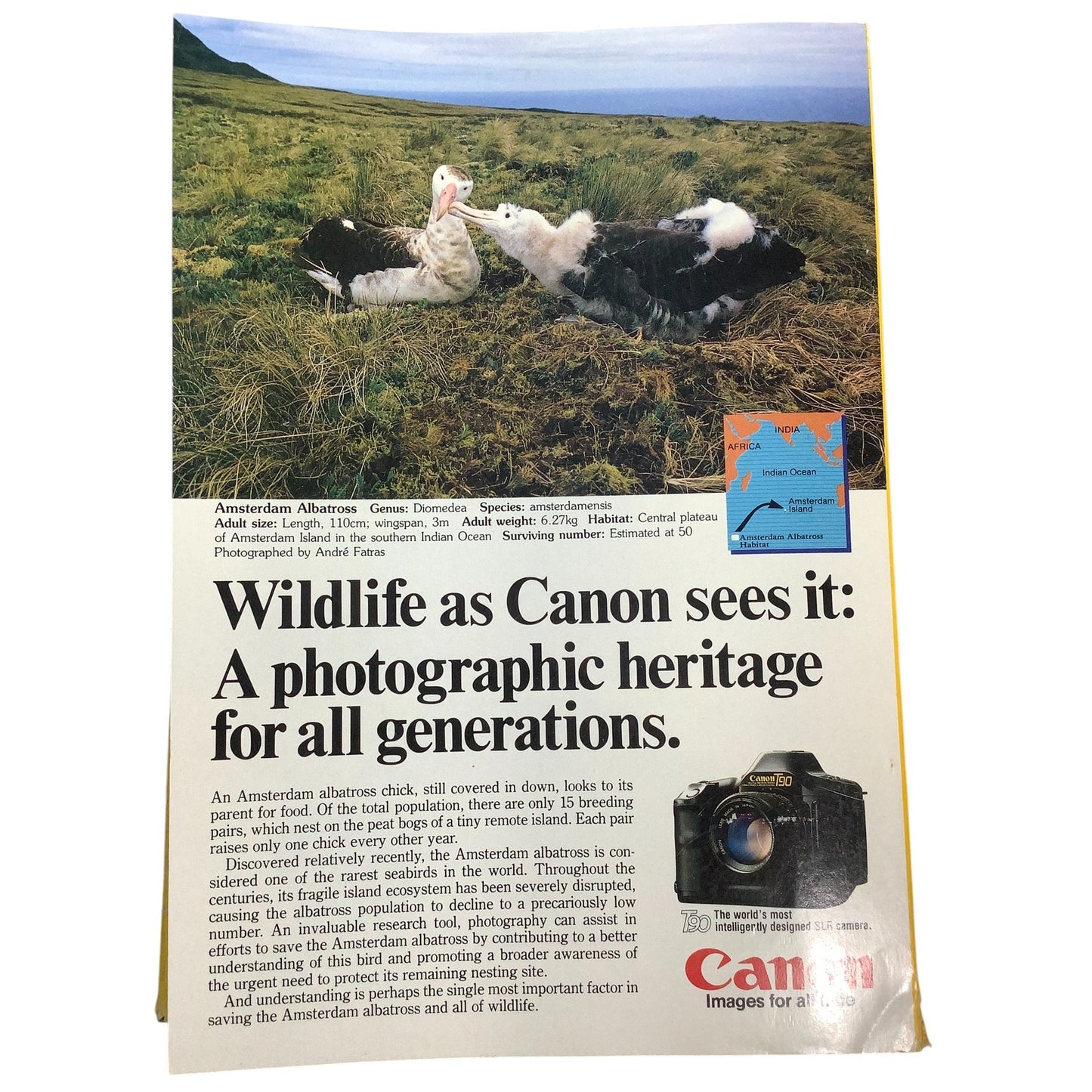 National Geographic Magazine February 1987, Iceland, Madagascar, Appalachian ...