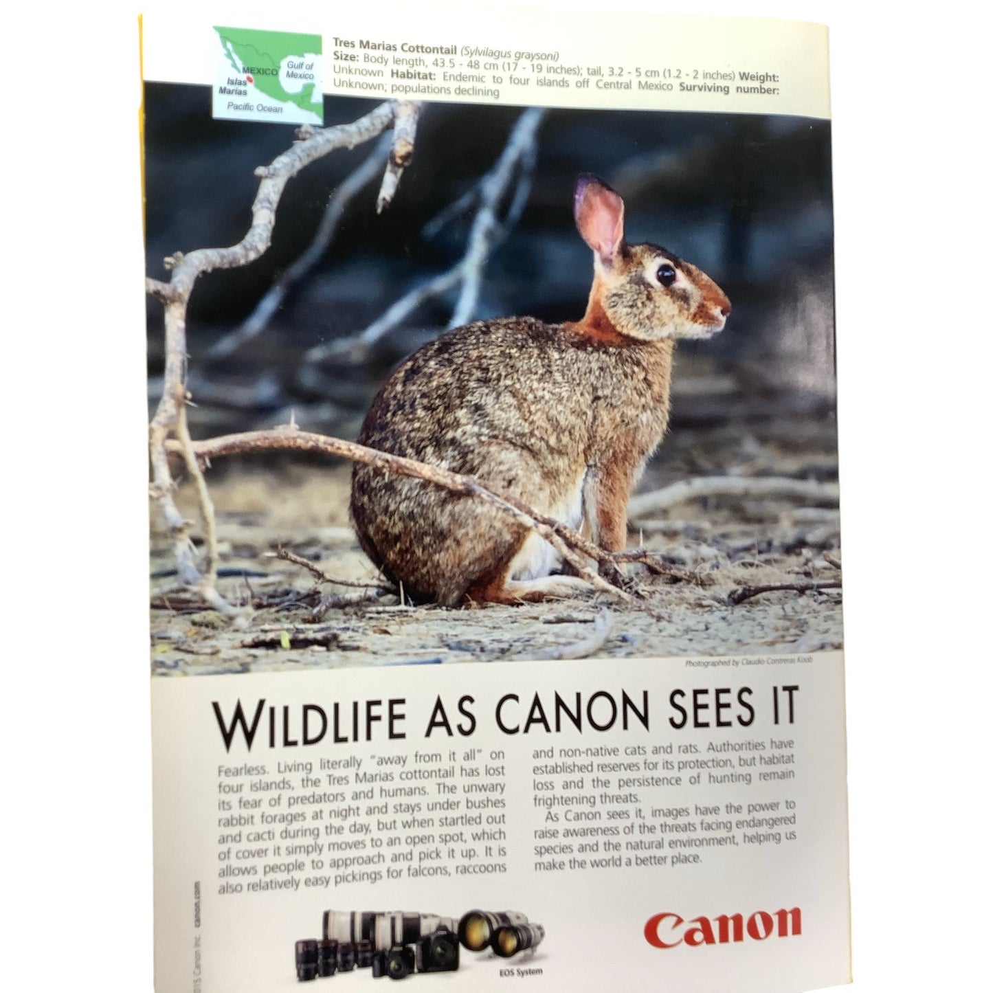 National Geographic April 2015, Lincoln, Hubble Images, Trajan's Column & More