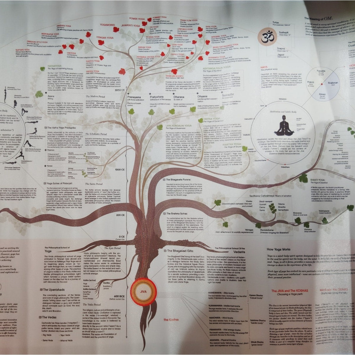 24x16" The Yoga Tree Canvas Print Poster – A Visual Guide to the Practice of Yoga (Unframed)