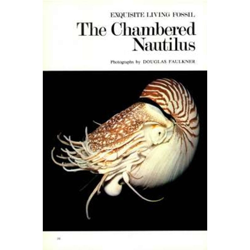 National Geographic Magazine January 1976, Moses, Stockholm, Haiti, California..