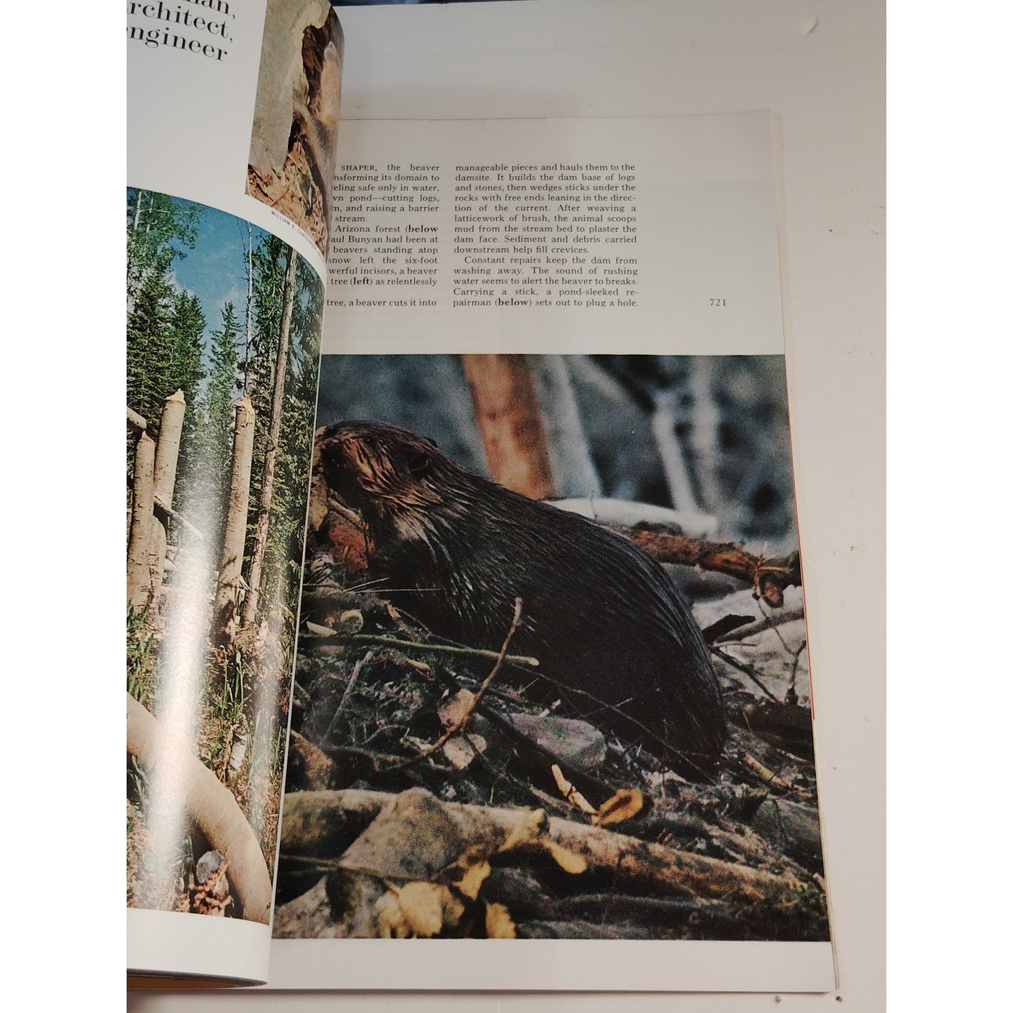 National Geographic Magazine – May 1974, Bluegrass, Beavers, Chinese Tomb