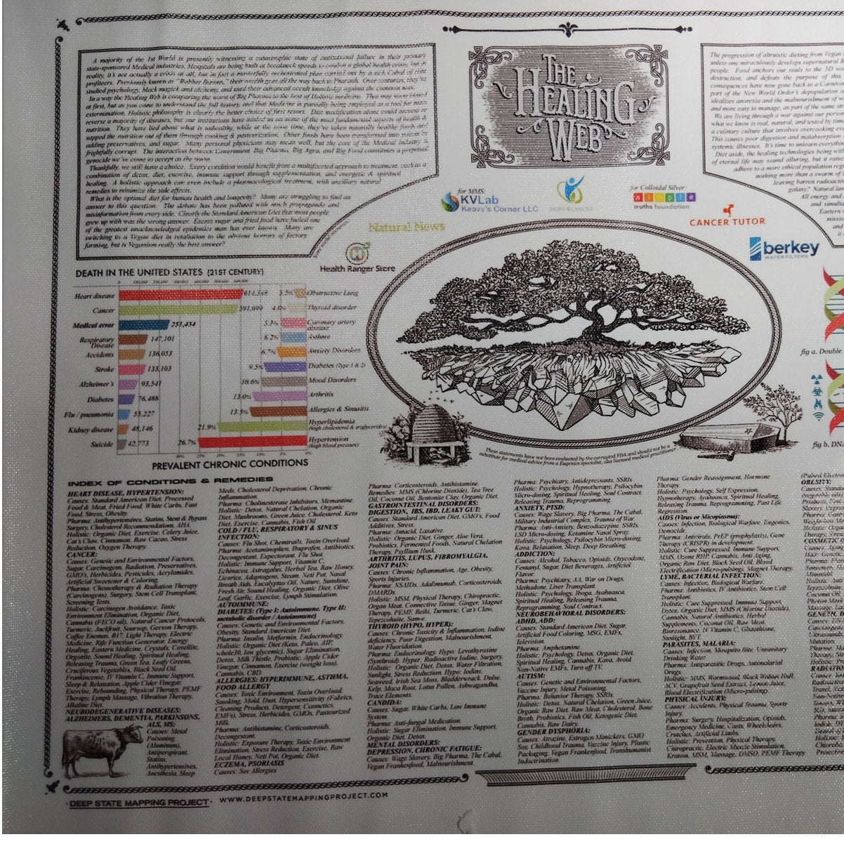 The Healing Web Canvas Print Holistic Health, Alternative Medicine & Wellness, 16x12" Unframed