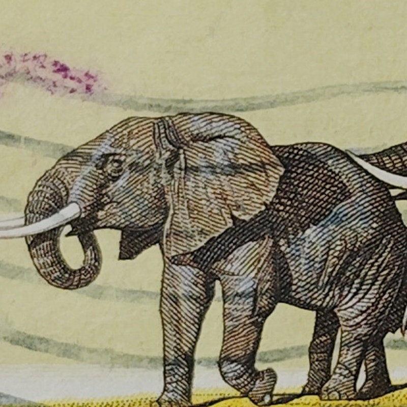 1970 US Postage Stamp #1388 African Elephant Herd Natural History 6c Used