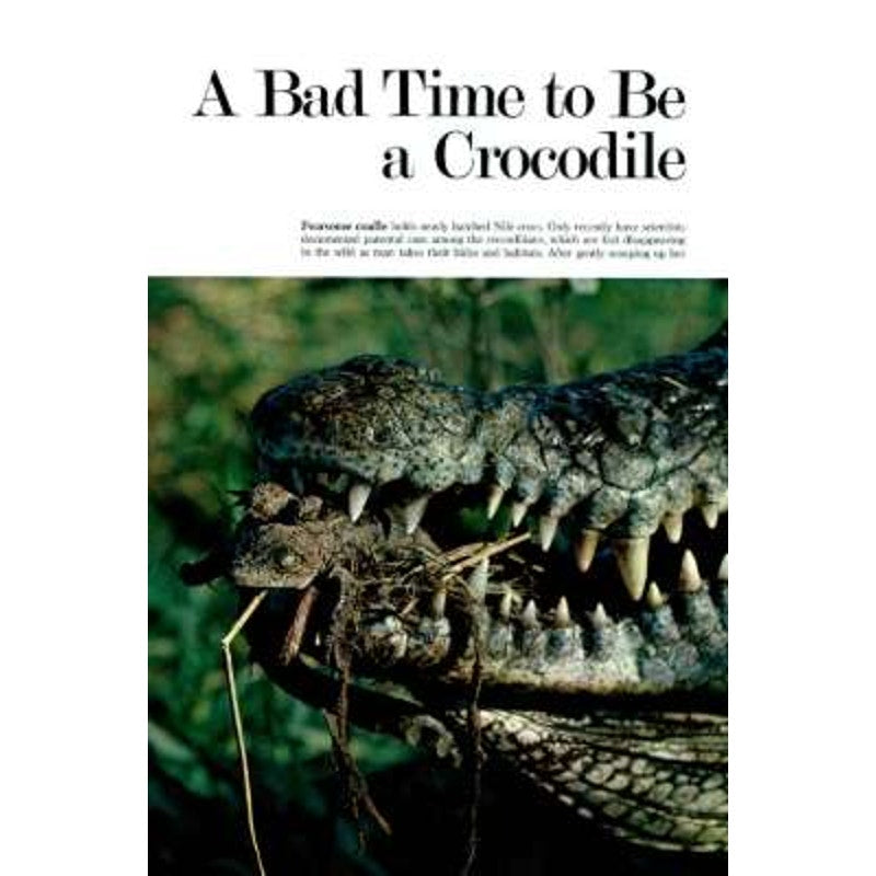 National Geographic January 1978 New Zealand Milford Trail Hiking, Zulu King Marries, Moscow Treasures, Crocodiles, Tsars, Hudson River...