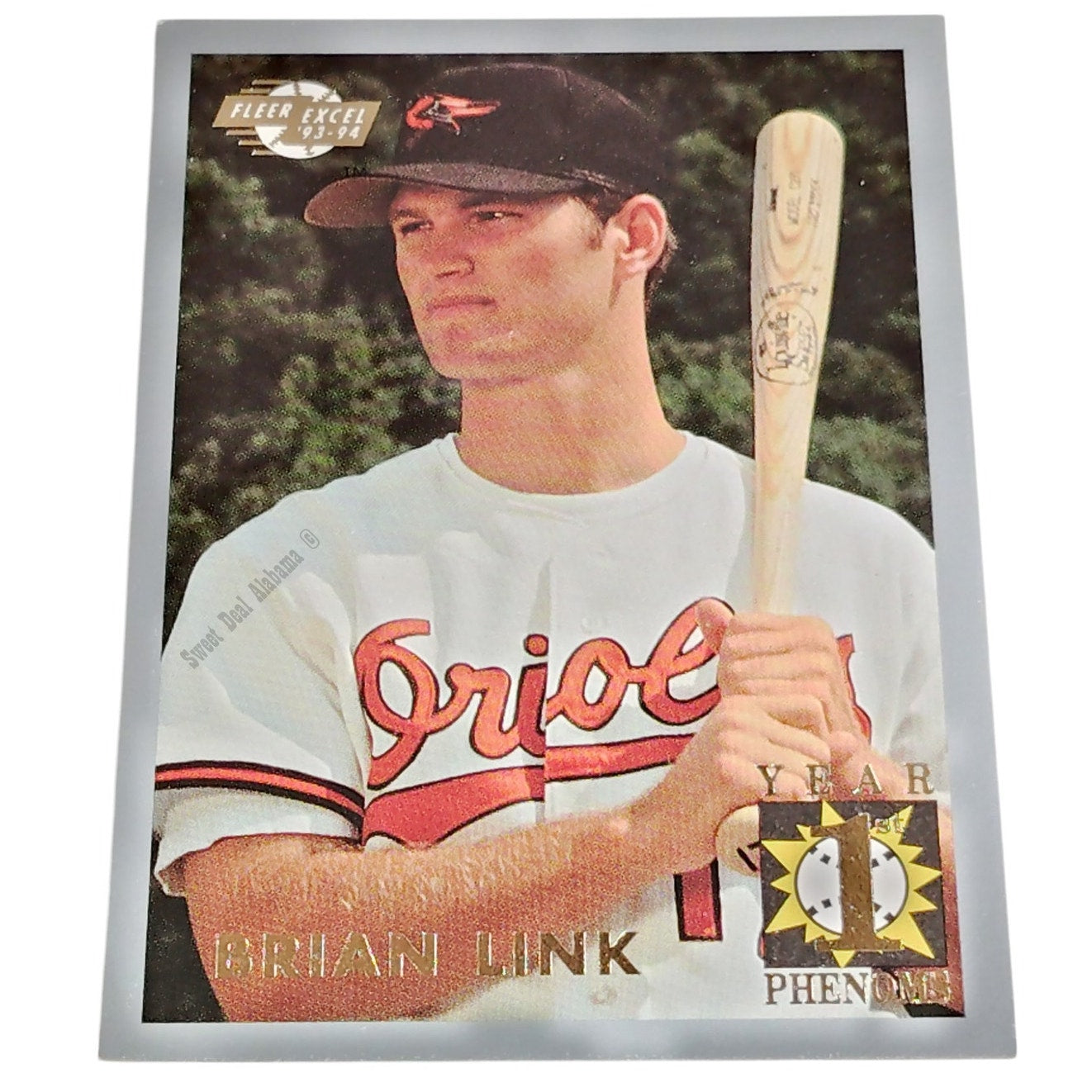 Brian Link, Bluefield Orioles, Card 2 of 10, 1st Year Phenoms, 93-94 Fleer Excel