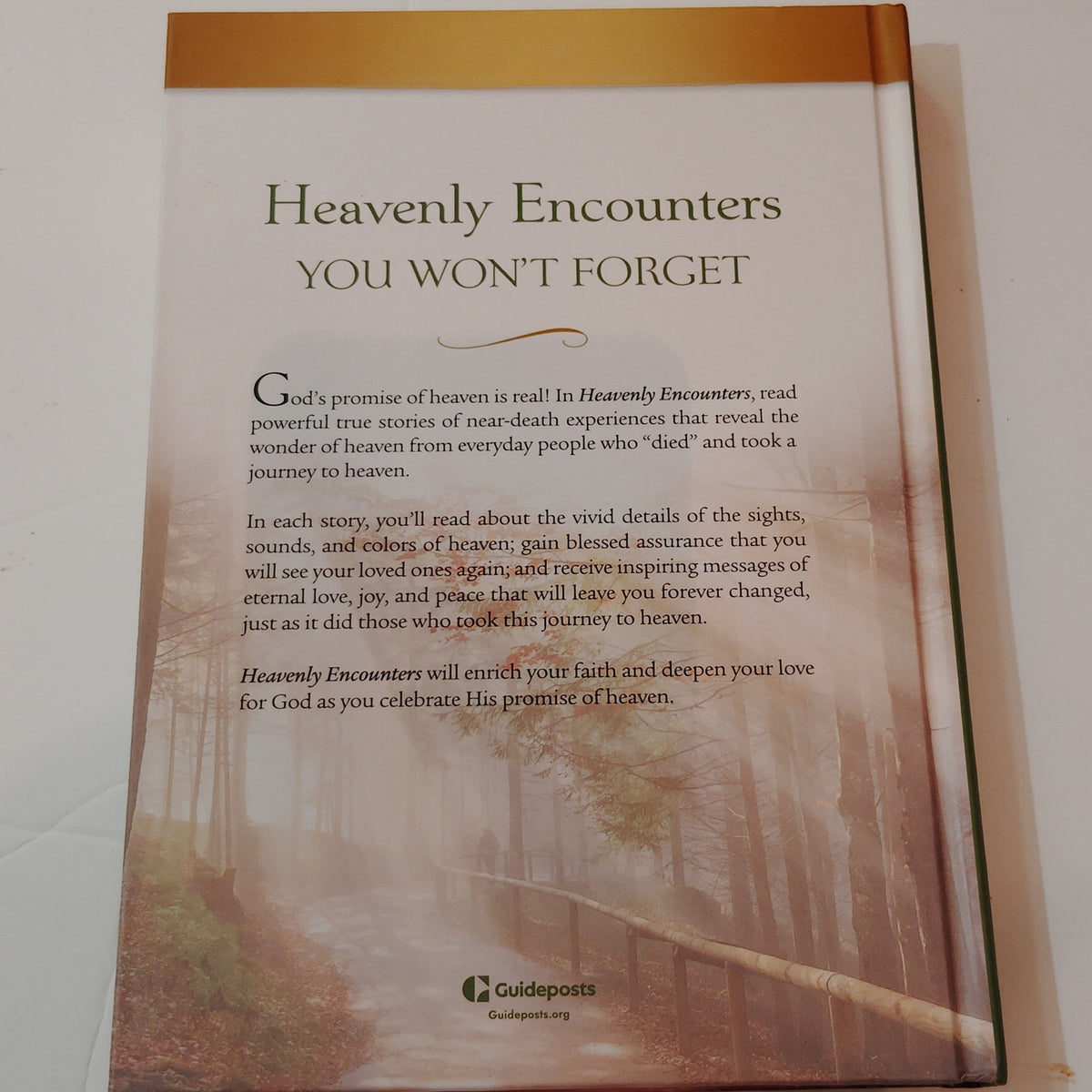 Heavenly Encounters: True Stories of Transformation from Near-Death - Hardcover