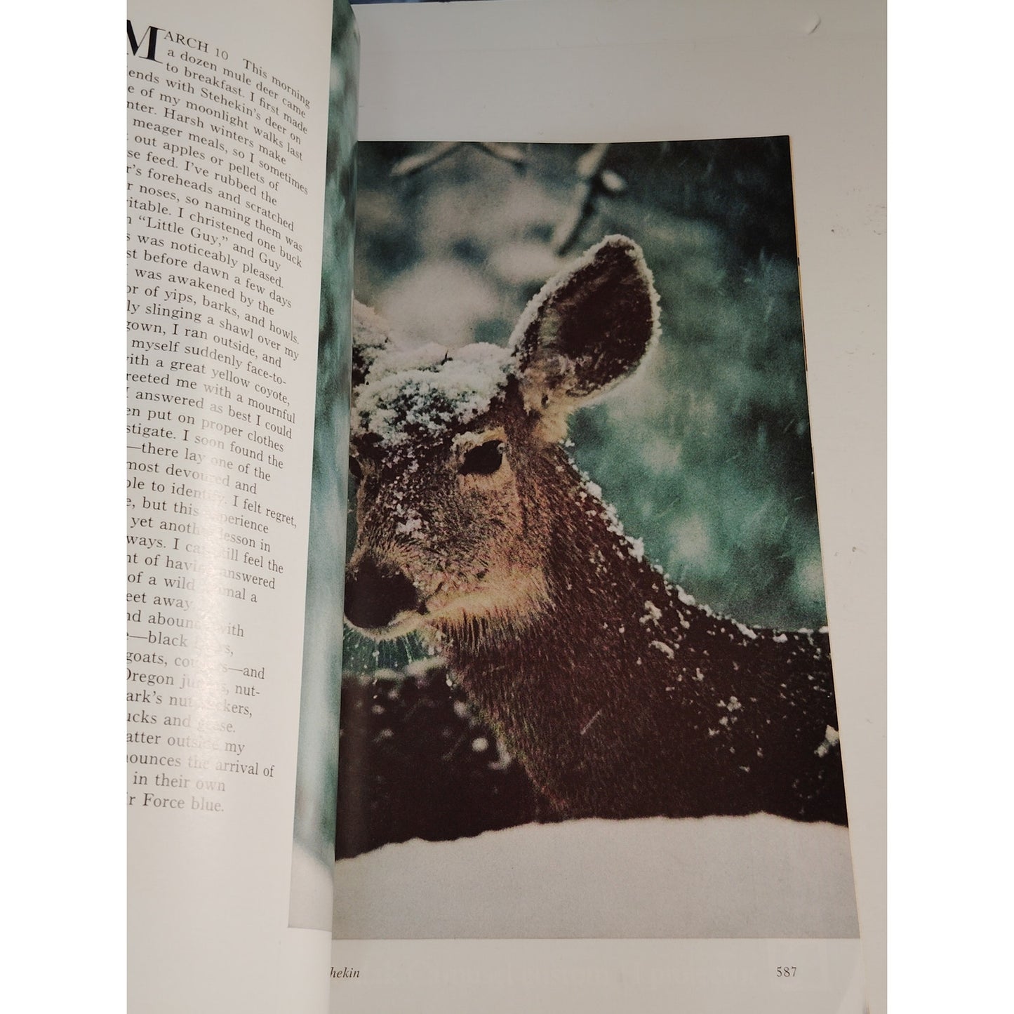 National Geographic Magazine – April 1974, Charles Dickens, Damascus, Timber