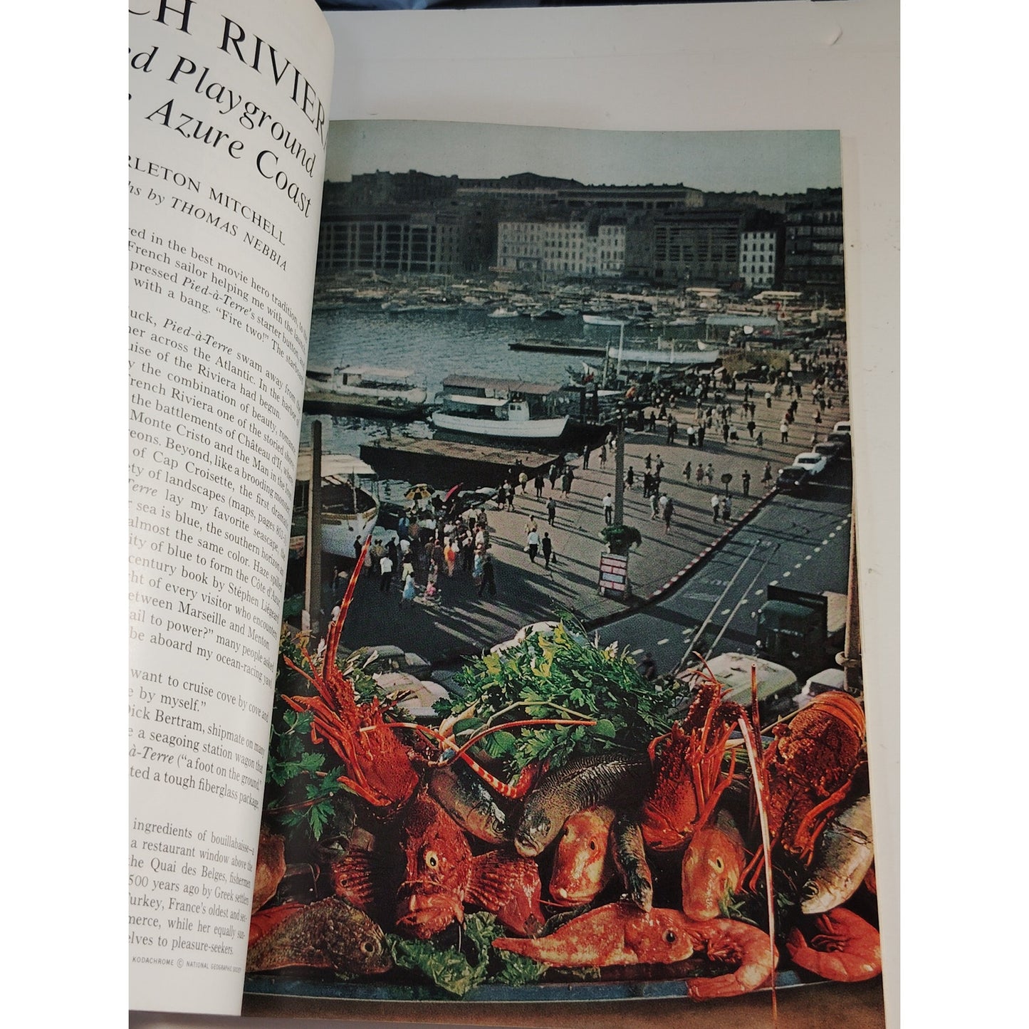 National Geographic June 1967 | Antarctica, French Riviera & Green Turtles