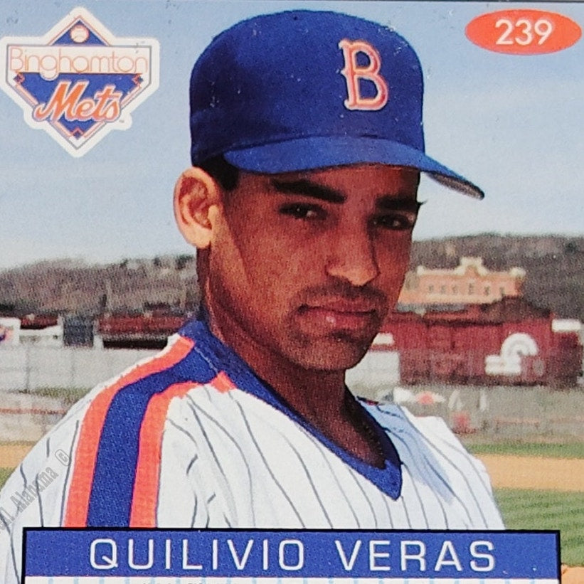 Quilivio Veras, Binghamton Mets, No. 239, 93-94 Fleer Excel Minor Leagues