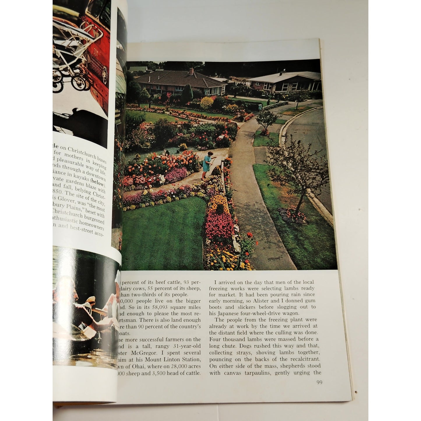 National Geographic Magazine – January 1972, Everglades, Belize, New Zealand