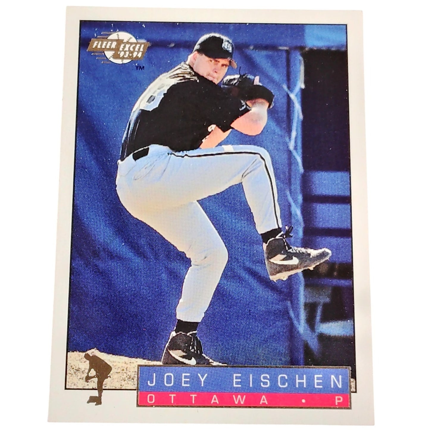 Joey Eischen Ottawa Lynx/Harrisburg Senators, No. 224, 93-94 Fleer Excel Minors
