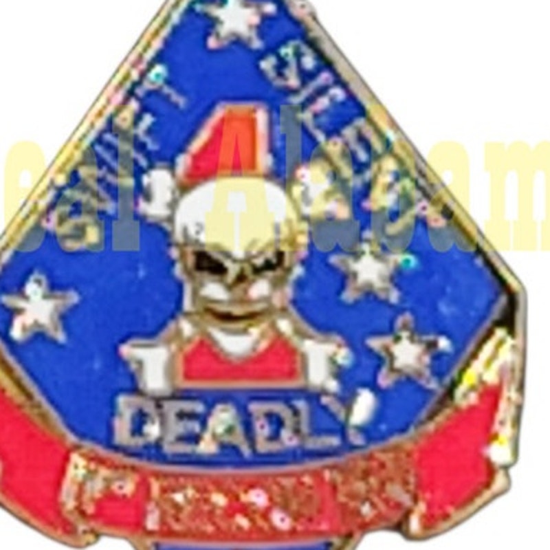 USMC 1st Reconnaissance Battalion Hat, Lapel, Brooch Collectors Pin 1"H x 3/4"W