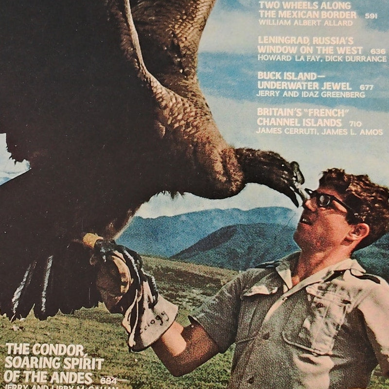 National Geographic Magazine – May 1971, Condor, Leningrad, Channel Islands