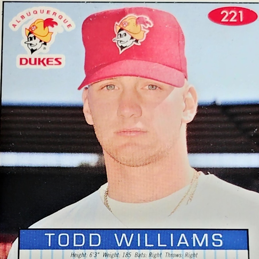 Todd Williams, Albuquerque Dukes, No. 221, 93-94 Fleer Excel Minor Leagues