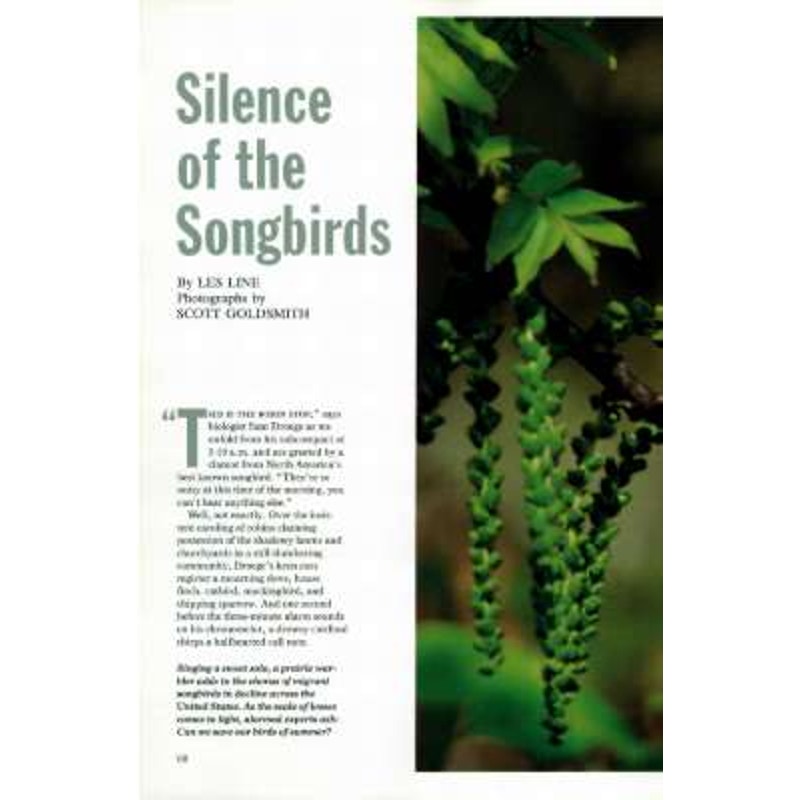 National Geographic June 1993 -Chesapeake Bay, Silence of the Songbirds, The Iceman, Bangladesh: When Water Comes, Corn: The Golden Grain...