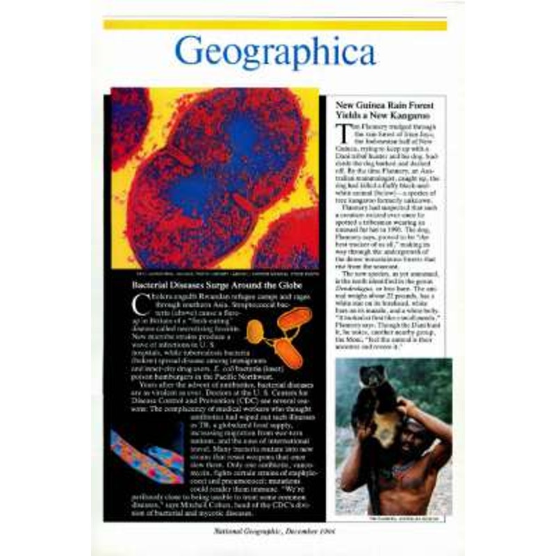 National Geographic December 1994, Animals at Play, Canada's Highway of Steel, C.S.S. Alabama, Buenos Aires, America's Poet: Walt Whitman, EUC