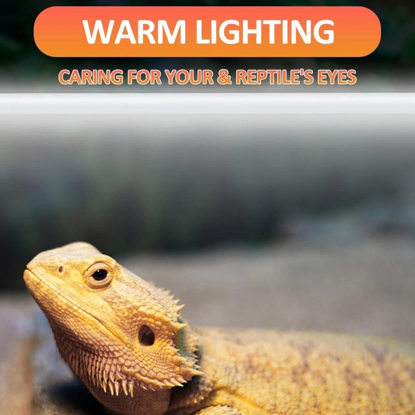 REPTI ZOO Reptile UVB 24" Fluorescent Bulb – 18W – 10.0 UVB – T8 Desert Lamp