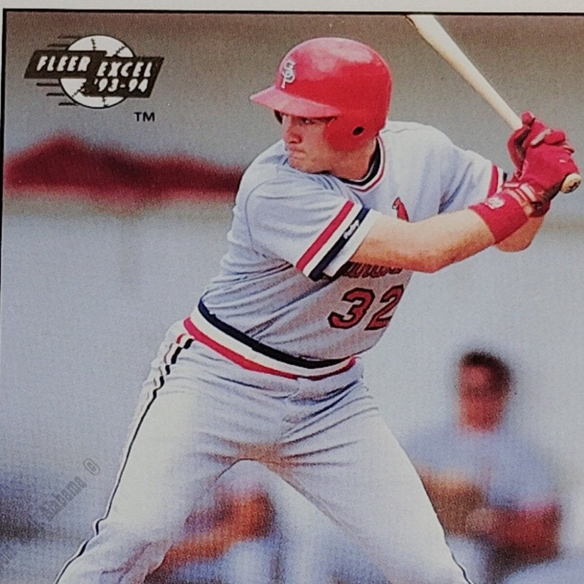 Doug Radziewicz, St. Petersburg Cardinals, #273, 93-94 Fleer Excel Minor Leagues
