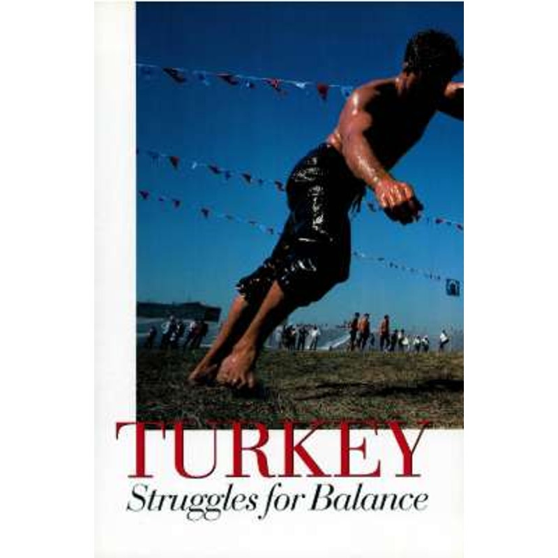 National Geographic Magazine May 1994, Turkey, English Channel, AK, Michelangelo
