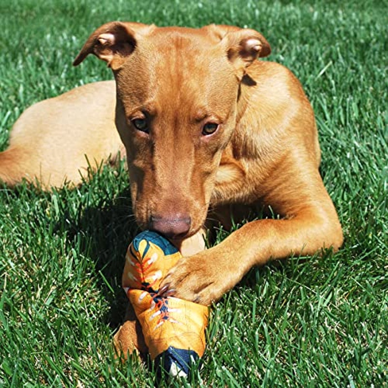 Doggijuana Get Outside Refillable Hiking Boot Dog Toy Medium