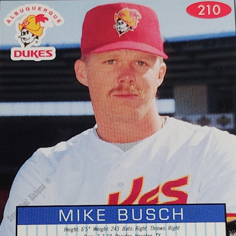 Mike Busch, Albuquerque Dukes, No. 210, 93-94 Fleer Excel Minor Leagues