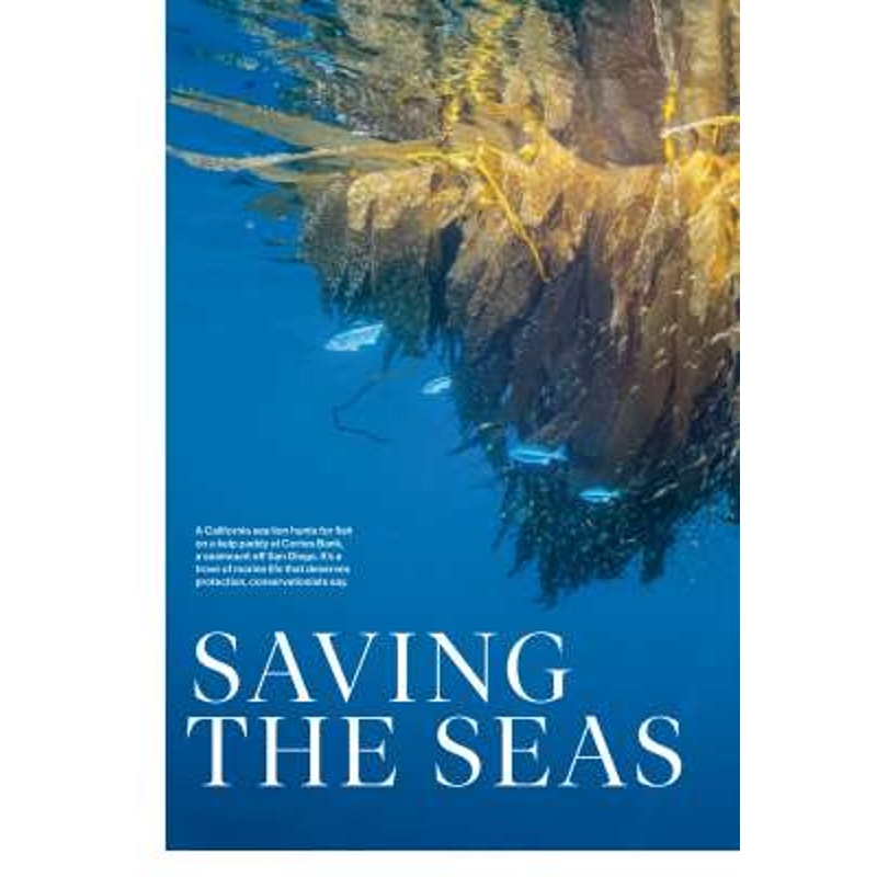 National Geographic Magazine February 2017, Saving our Oceans, Life After Loss..