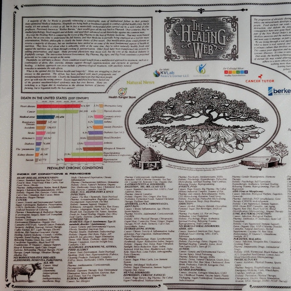 The Healing Web Chart Poster – Natural Remedies Canvas Print, 16x12" Unframed Holistic Wall Art