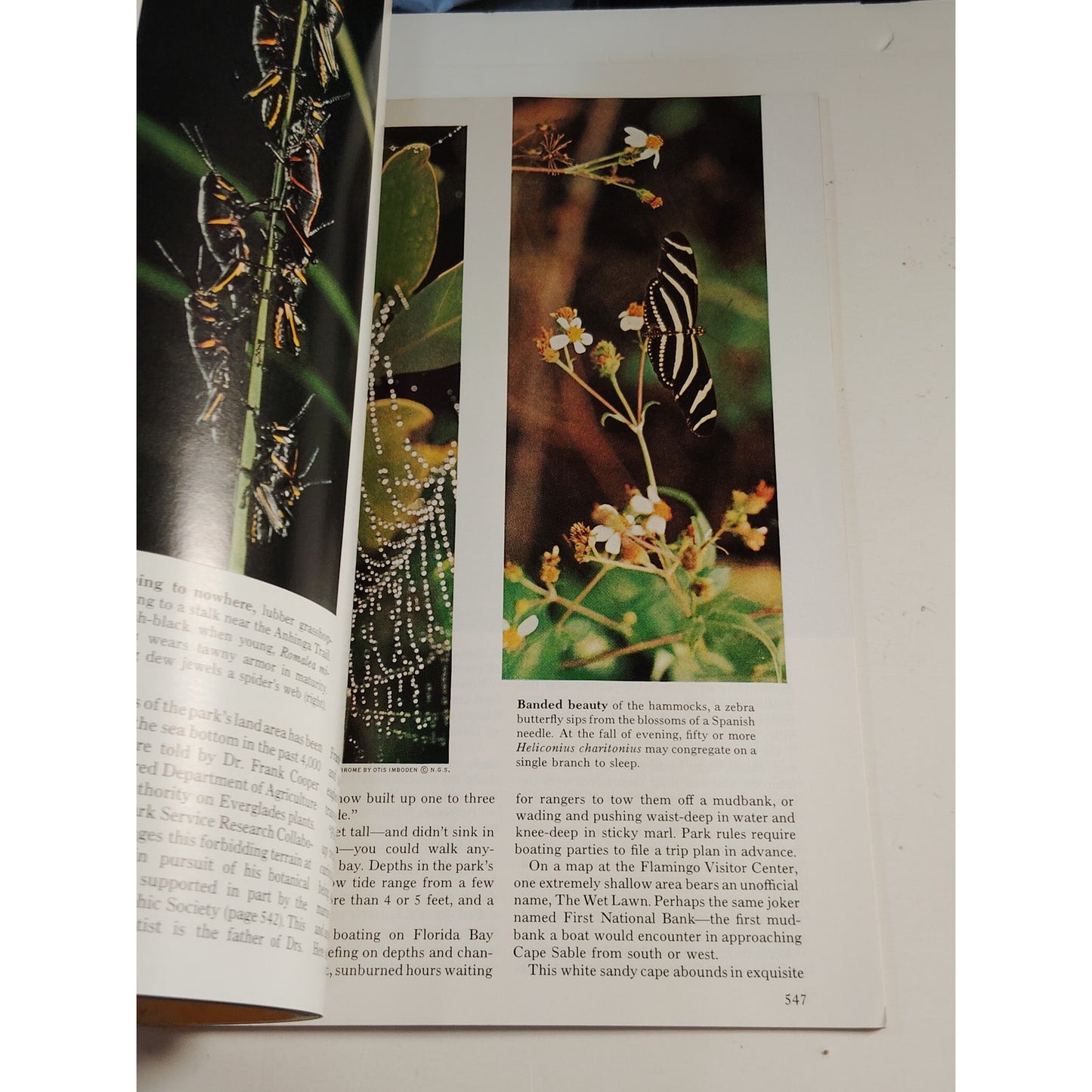 National Geographic Magazine October 1967 | Madagascar, Everglades & Monsoon Sea