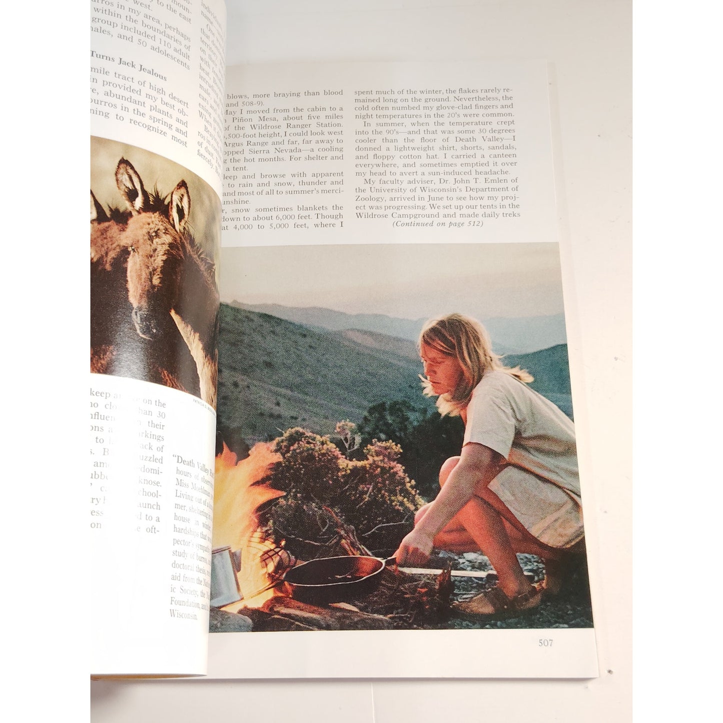 National Geographic Magazine – April 1972, Afghanistan, Wild Burros, Sea Snakes