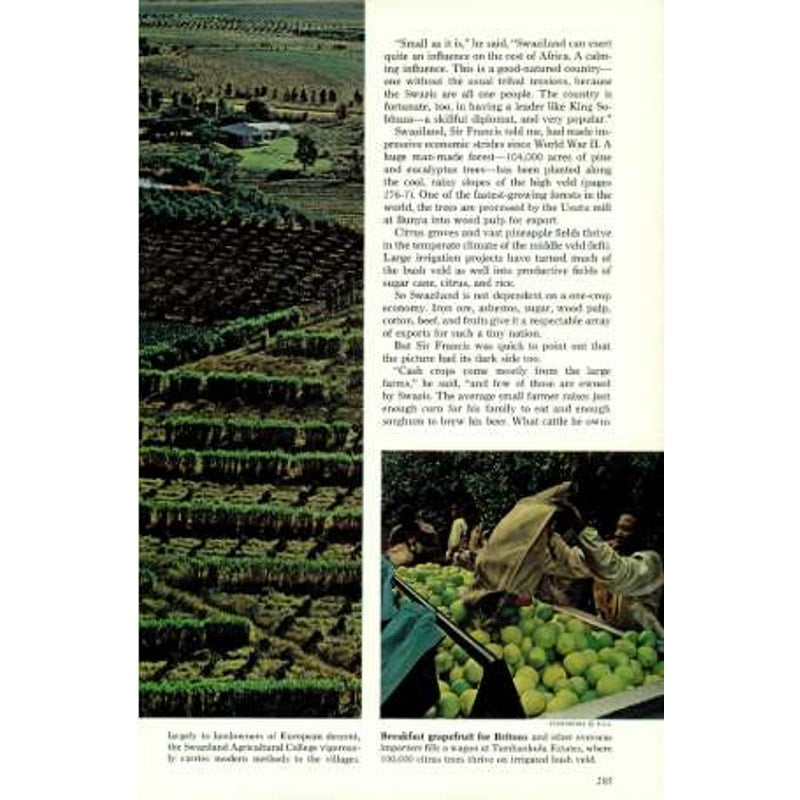 National Geographic Magazine August 1969, Colorado, Locusts, Iceland, Swaziland