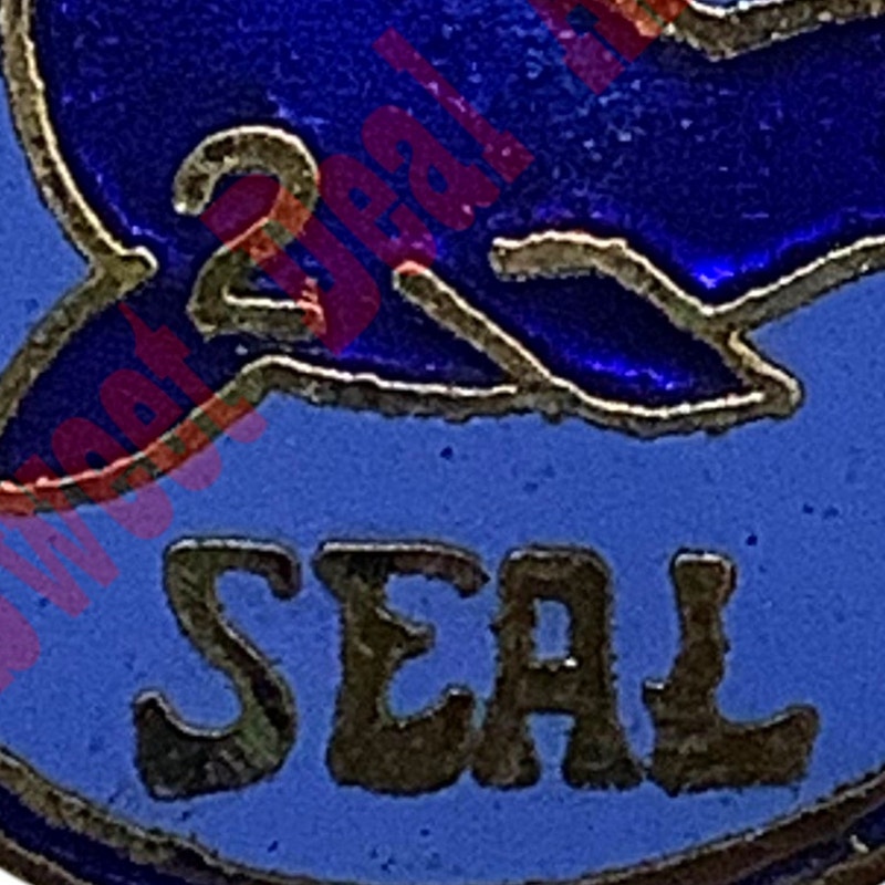Vintage Navy Seals Team 2 (Two) Hat, Lapel or Tie Pin, 1" Diameter