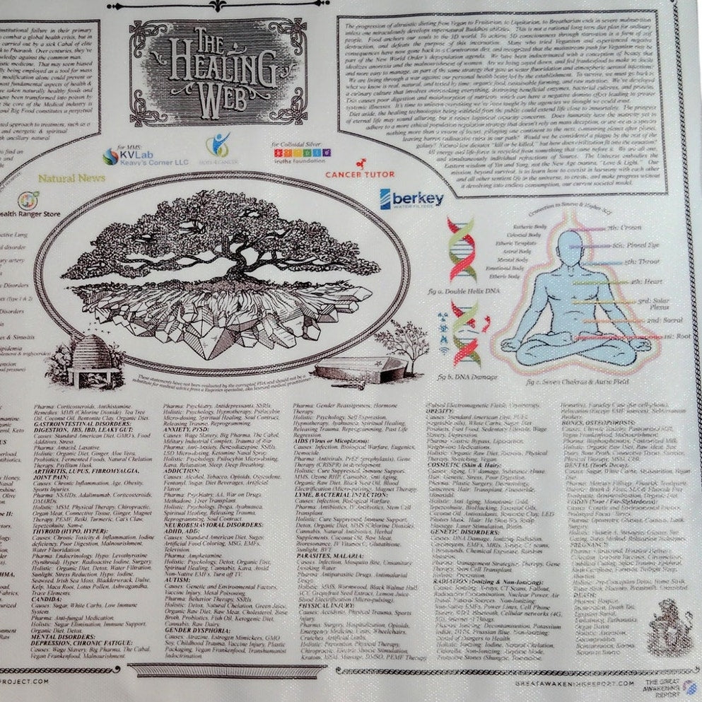 The Healing Web Chart Poster – Natural Remedies Canvas Print, 16x12" Unframed Holistic Wall Art